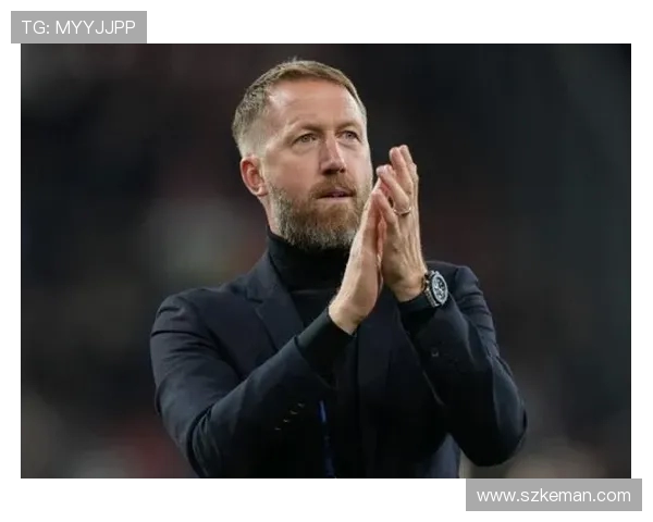 前切尔西主帅波特执教瑞典国家队 如成功出线将自动延长合同