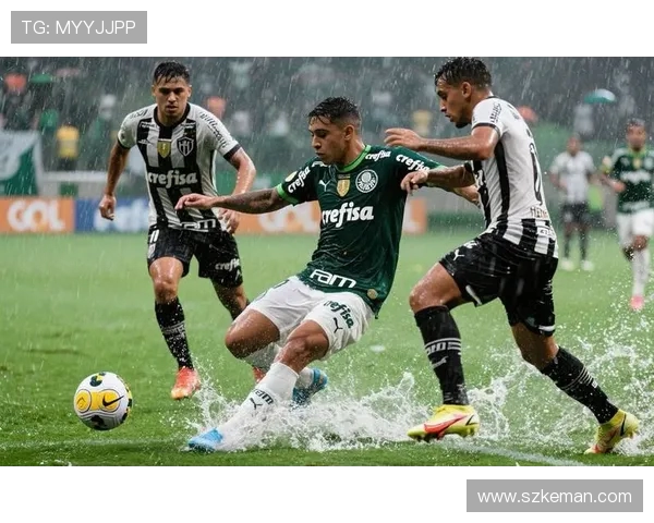 帕尔梅拉斯对决弗拉门戈引领解放者杯巴西球队七连冠新篇章荣耀时